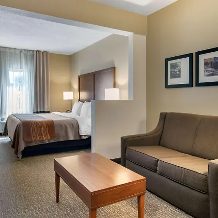Comfort Inn & Suites Suwanee - Sugarloaf Exterior foto